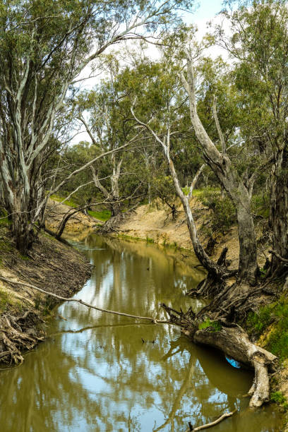 istock Deniliquin, New South Wales, Australia 1292637794
