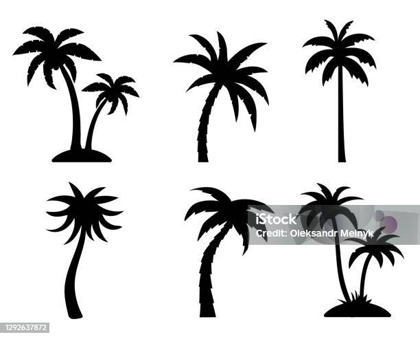 Tropical Palm Trees Black Silhouette Collection Summer Vacation Concept Vector Isolated On White Stock Illustration - Download Image Now
