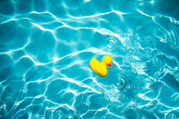 istock Yellow rubber duck toy on swimming pool and sun rays . 1292638201