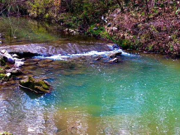 istock Black Creek in autumn 1292639277