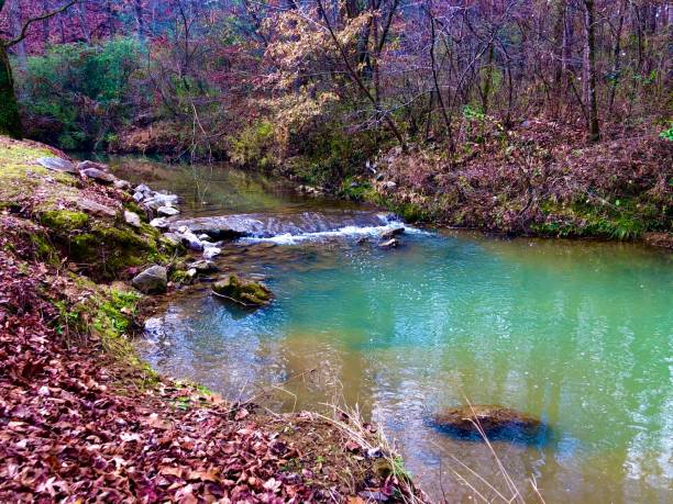 istock Black Creek in Alabama 1292639284
