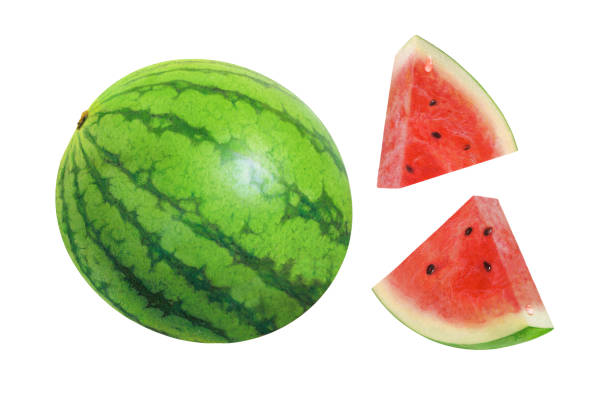 ilustraciones, imágenes clip art, dibujos animados e iconos de stock de melón y cuñas - watermelon