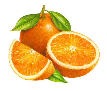 An illustration of a whole orange, with a wedge and cut half in the foreground.