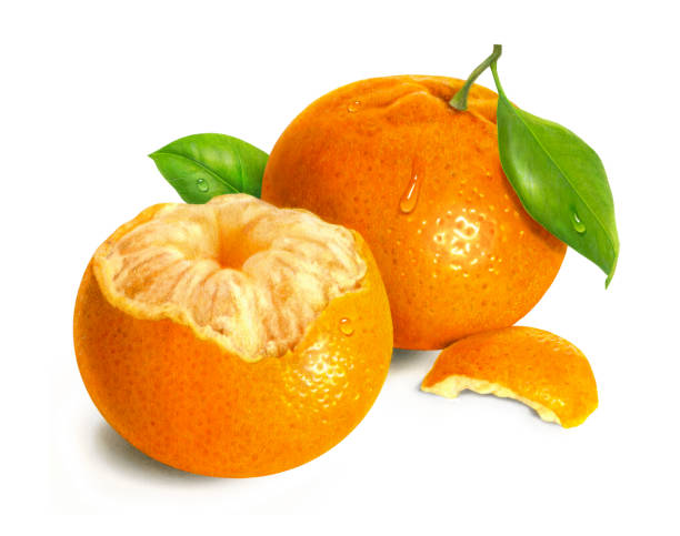 tangerine medley - photo realism stock illustrations