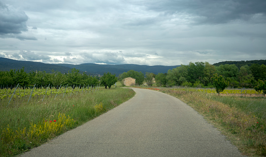 Narrow road through the countryside