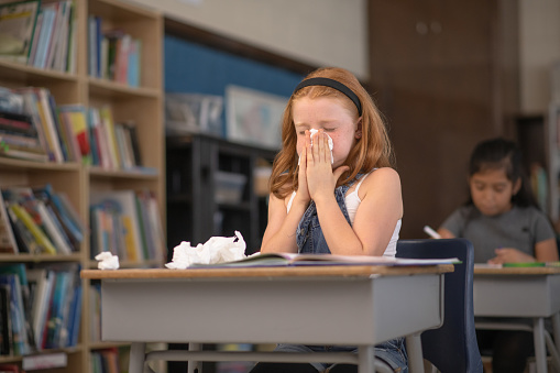 A female Caucasian student appears to be sneezing in her classroom. She has tissue paper held to her nose as she sneezes.