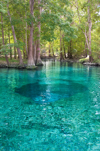 Swimming Hole, clear water fresh springs blue