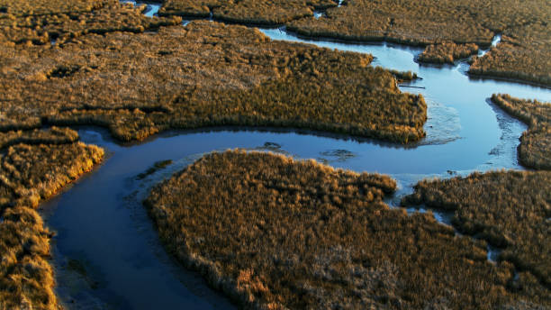 Pascagoula River Delta Carving Through Swamp - Aerial Aerial view of the Pascagoula River Delta in southeastern Mississippi. mississippi delta stock pictures, royalty-free photos & images