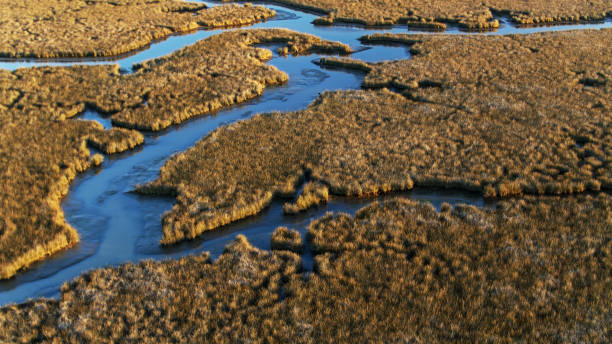 istock Pascagoula River Delta at Dawn - Drone Shot 1292670600