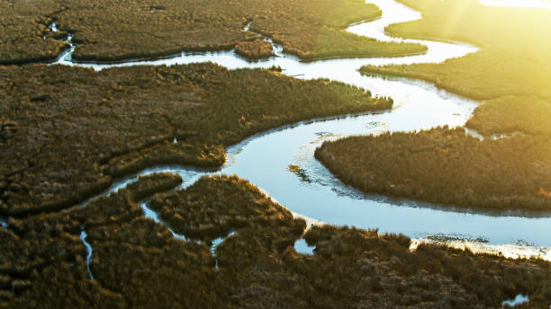 lever du soleil sur le delta de la rivière pascagoula - aérien - marécage photos et images de collection