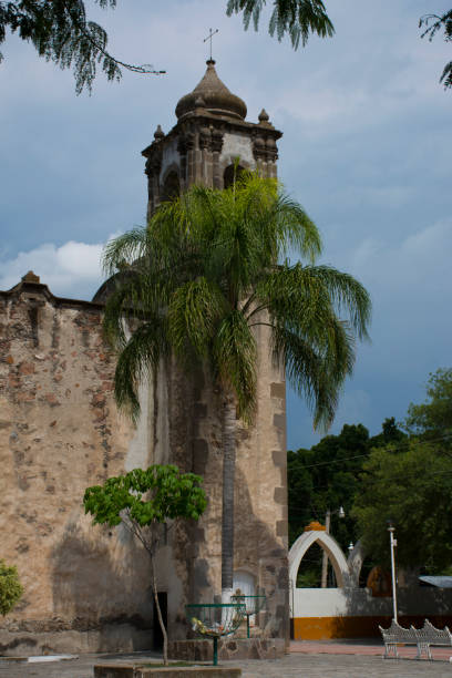 istock Palm and old temple. 1292670693