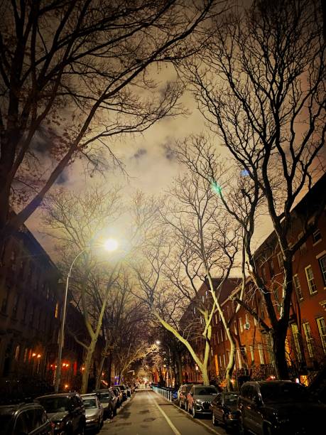 istock Residential Brooklyn Street at Night 1292670783