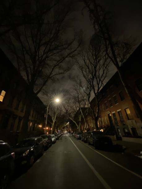 istock Residential Brooklyn Street at Night 1292670786