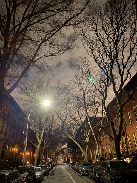 istock Residential Brooklyn Street at Night 1292670791