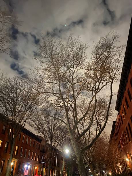 istock Looking Up - Residential Brooklyn Street at Night 1292673657