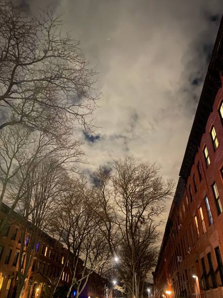 istock Looking Up - Residential Brooklyn Street at Night 1292673662
