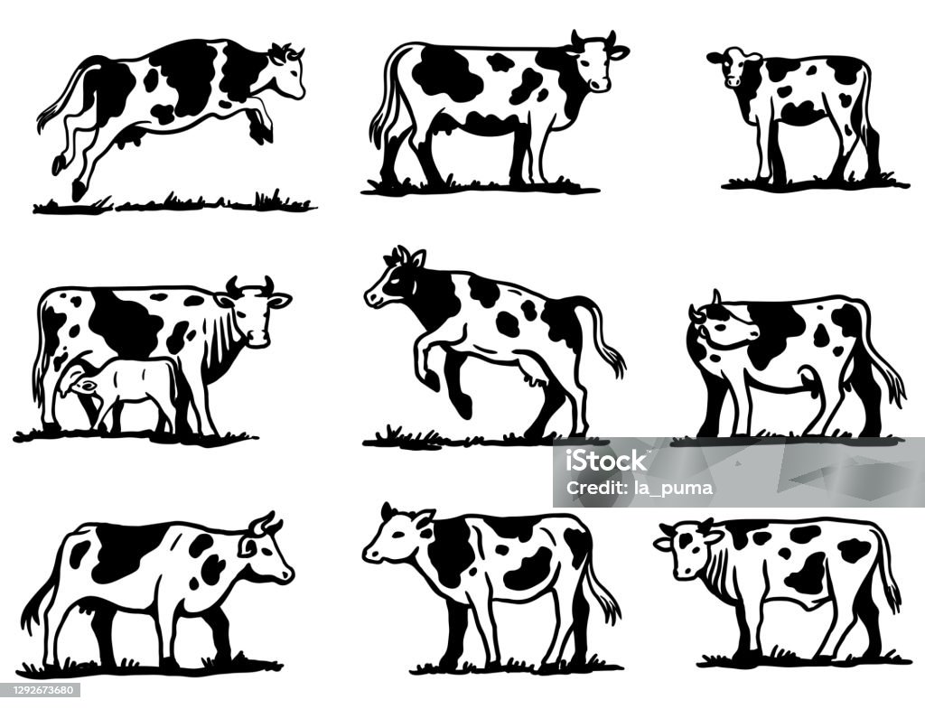 Breeding Cow Animal Husbandry Sketches On A Grey Background Stock  Illustration - Download Image Now - iStock