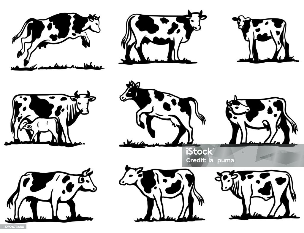 Breeding Cow Animal Husbandry Sketches On A Grey Background Stock Illustration - Download Image Now - iStock Breeding Cow Animal Husbandry Sketches On A Grey Background Stock Illustration - Download Image Now - iStock