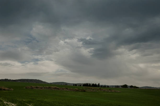 Winter landscape in Israel