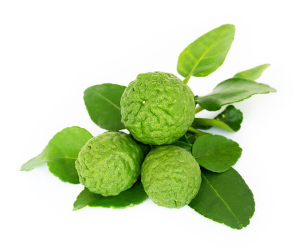 istock Bergamot fruit or kaffir lime on white background. 1292685557