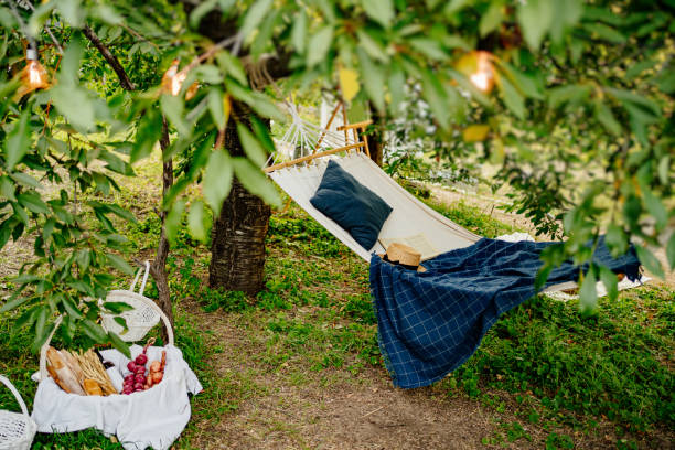 istock a hammock between the trees in the garden and a picnic basket. 1292693239