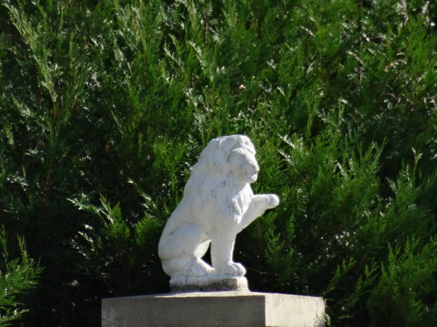istock A white lion statue against green fir tree 1292694359