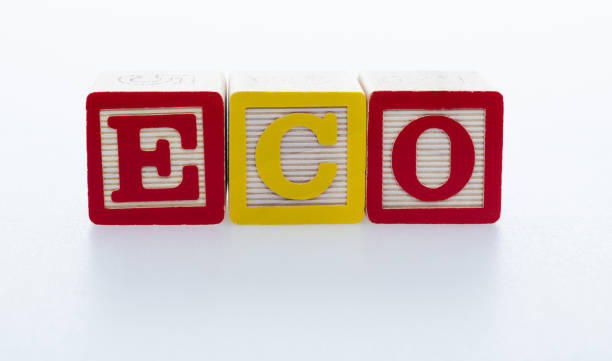 istock Wooden blocks with word ECO 1292694658