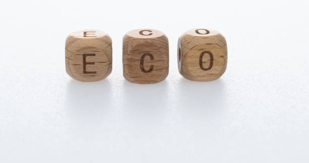 istock Wooden blocks with word ECO 1292694732