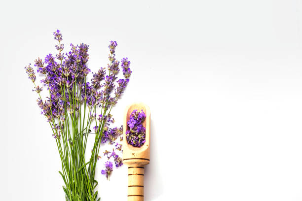 istock Bunch of Lavender flowers 1292694780