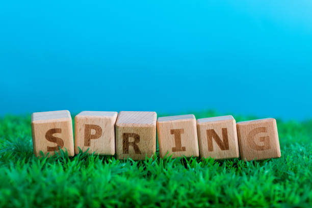 Wooden word spring on green meadow.