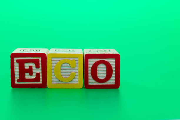 istock Wooden blocks with word ECO 1292695989