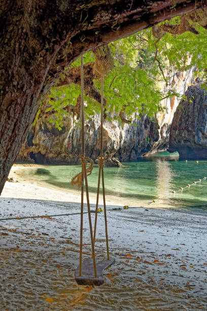 istock Wooden swing hang under tree at the beach 1292707174