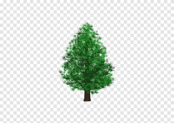 透明背景にメリークリスマスツリーベクトル - growth new evergreen tree pine tree点のイラスト素材／クリップアート素材／マンガ素材／アイコン素材