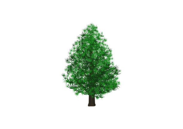 1,600+ Mini Pine Trees Stock Illustrations, Royalty-Free Vector Graphics &  Clip Art - iStock