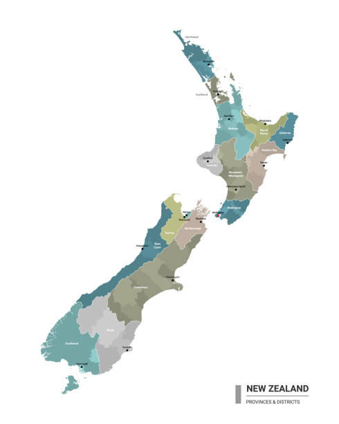뉴질랜드 는 세분화와 상세한지도. 주 및 행정 구역에 의해 착색 된 지구 및 도시 이름을 가진 뉴질랜드의 행정지도. 벡터 그림입니다. - north island new zealand stock illustrations