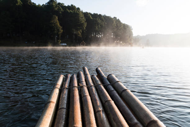a balsa de bambu flutuando no reservatório com névoa pela manhã. - wooden raft - fotografias e filmes do acervo