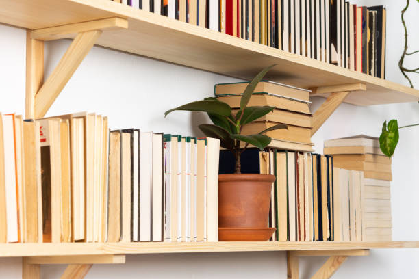 istock Indoor flowers on the bookshelves 1292720334