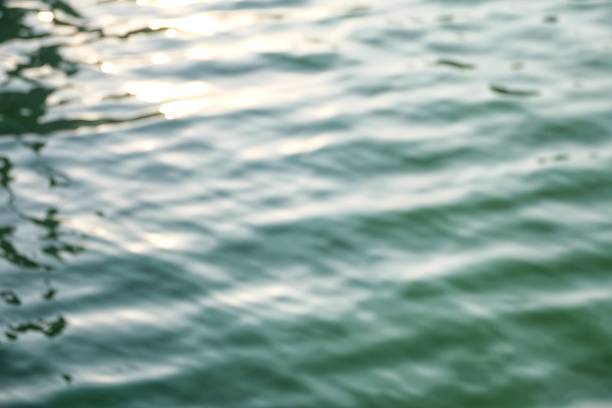 istock Blurred water surface with waves and green deep lake for background backdrop 1292721121