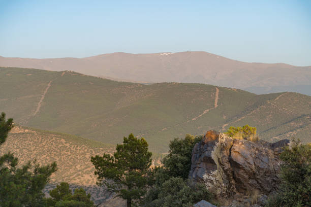 Sierra Nevada mountains in southern Spain, there is pine forest, on top of the mountain there is snow, the sky is clear