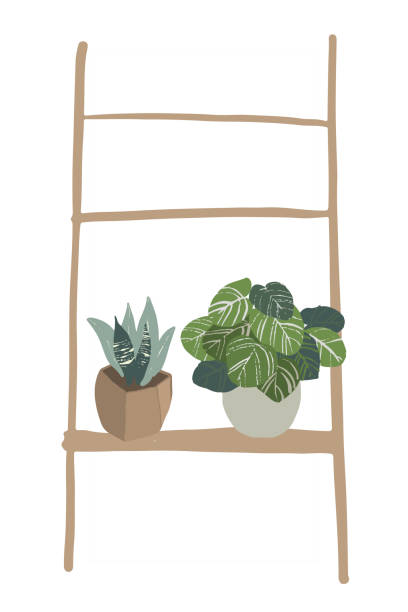 istock Hand drawn tropical house plants. Scandinavian style illustration, modern and elegant home decor. design flowers. 1292727160