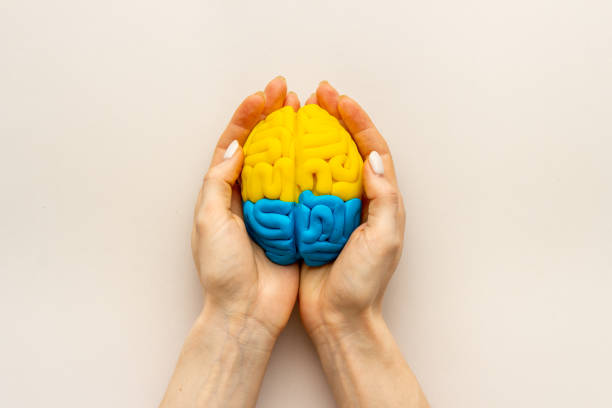 istock Mindfulness concept. Human brain model in hands, top view 1292727598