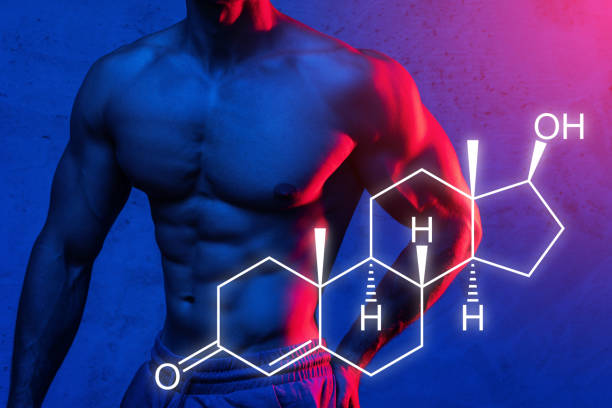 근육 남성 몸통과 남성 호르몬 공식 - abdominal muscle muscular build human muscle strength 뉴스 사진 이미지