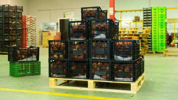 istock Stacks of plastic boxes with peaches in storage warehouse 1292734200