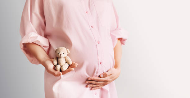 Pregnant belly of expectant mother with cute tiny teddy toy bear. Beautiful pregnant woman in pink shirt dress in white background. Pregnant belly of expectant mother with cute tiny teddy toy bear. Beautiful pregnant woman in pink shirt dress in white background. Loving mother waiting for baby birth. Pregnancy, gynecology concept. in vitro fertilization photos stock pictures, royalty-free photos & images