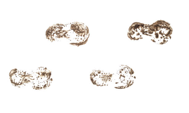 istock Traces of children's feet. 1292735306