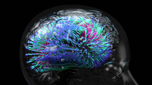 istock Human brain, neurones connections. Colorful brain MRI scan 1292736618