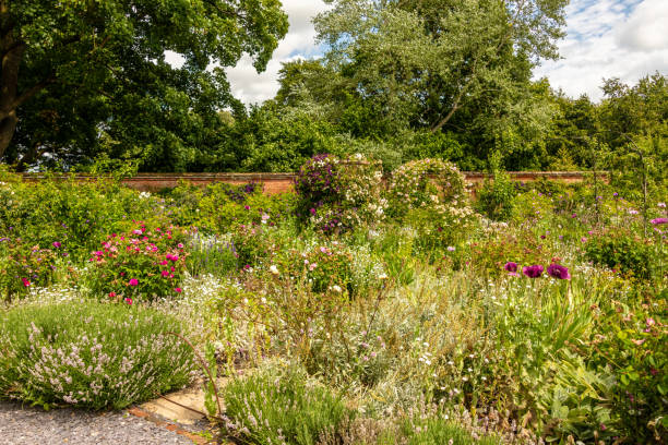 istock Abundant flower bed with trees behind 1292737862