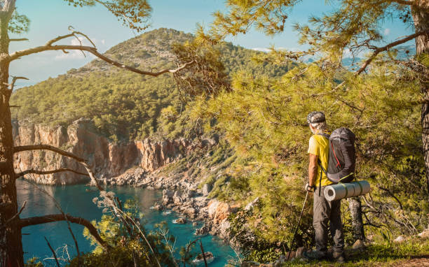 istock Trekking in nature alone 1292739214