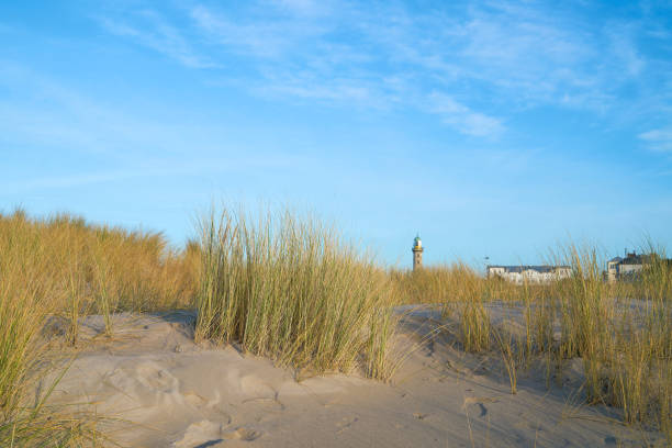 istock Dune on the beach of Warnemuende 1292742370