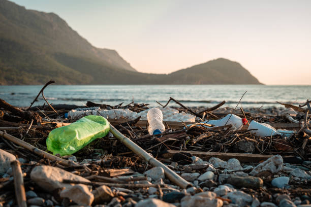 Plastic bottles stranded Sunset in the Mediterranean. Mountains and sea on the shore. Plastic bottles hitting the beach. Environmental problem plastic pollution photos stock pictures, royalty-free photos & images